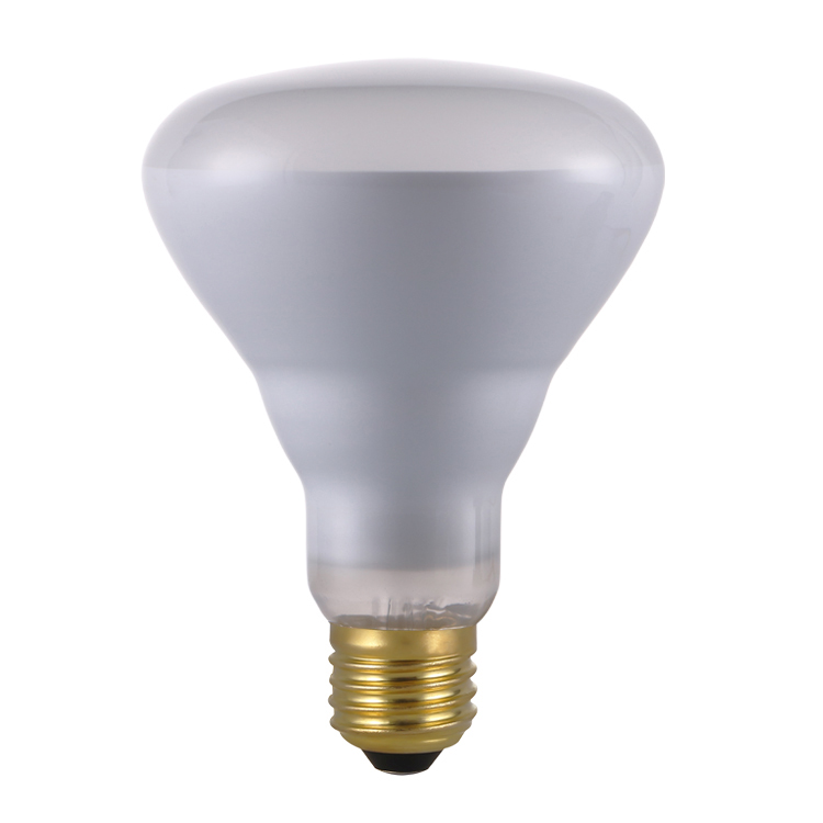 AS-071 BR95(BR30) Bath Buly Bulb