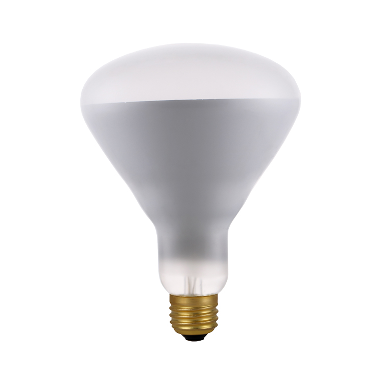 AS-072 BR125(BR40) Bath Buly Bulb